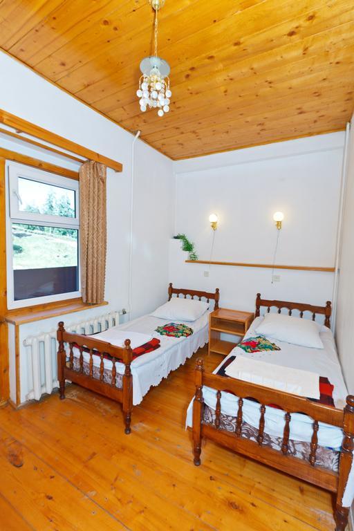Hotel Apollon باكورياني الغرفة الصورة